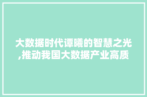 大数据时代谭曦的智慧之光,推动我国大数据产业高质量发展 百度算法