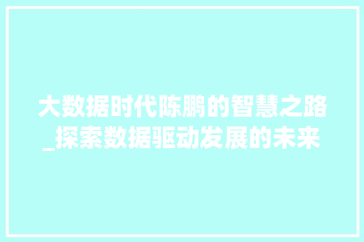 大数据时代陈鹏的智慧之路_探索数据驱动发展的未来