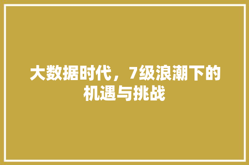 大数据时代，7级浪潮下的机遇与挑战