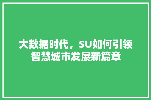 大数据时代，SU如何引领智慧城市发展新篇章