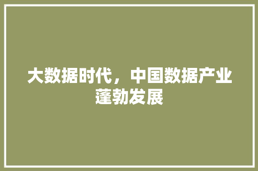 大数据时代，中国数据产业蓬勃发展