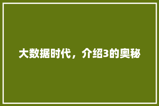 大数据时代，介绍3的奥秘