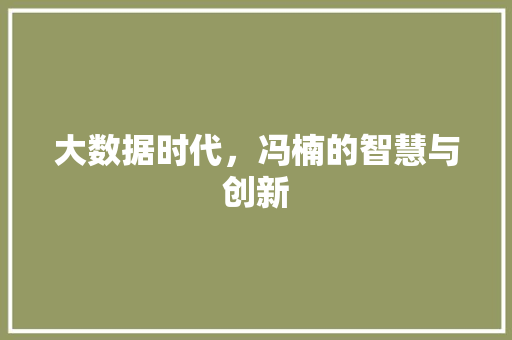大数据时代，冯楠的智慧与创新