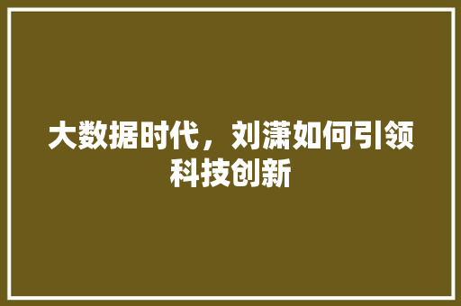 大数据时代，刘潇如何引领科技创新 百度算法