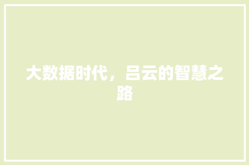 大数据时代，吕云的智慧之路 seo技术