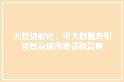 大数据时代，市大数据办引领智慧城市建设新篇章 头条优化