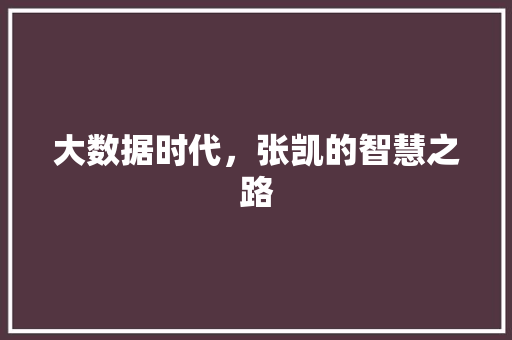 大数据时代，张凯的智慧之路