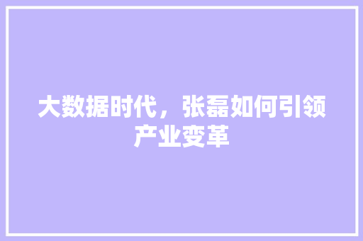 大数据时代，张磊如何引领产业变革 网站优化