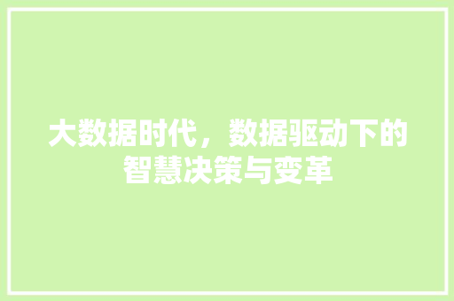 大数据时代，数据驱动下的智慧决策与变革 网站开发