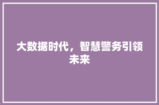 大数据时代，智慧警务引领未来 英文谷歌算法