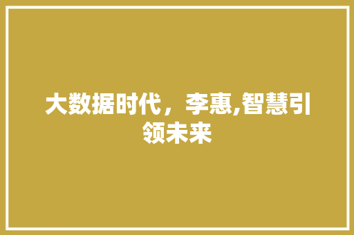 大数据时代，李惠,智慧引领未来 小程序开发
