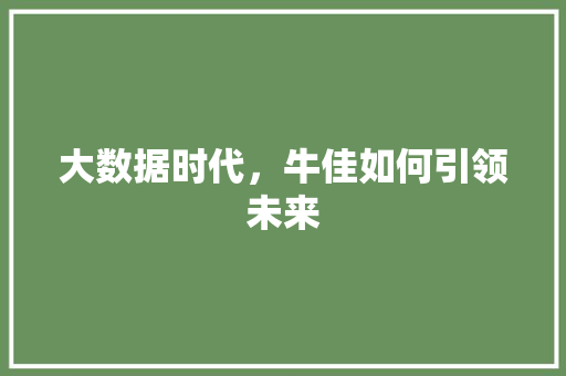 大数据时代，牛佳如何引领未来 网站开发