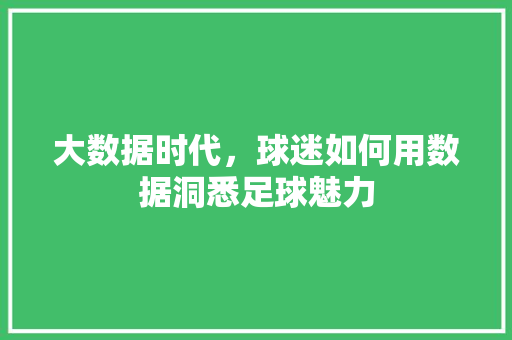 大数据时代，球迷如何用数据洞悉足球魅力