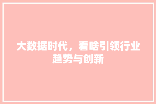 大数据时代，看啥引领行业趋势与创新 头条优化