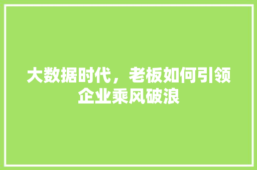 大数据时代，老板如何引领企业乘风破浪 网站优化
