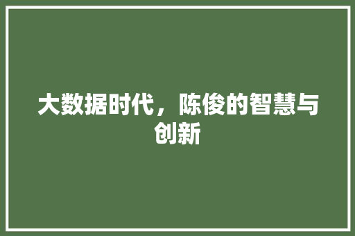 大数据时代，陈俊的智慧与创新 搜狗优化