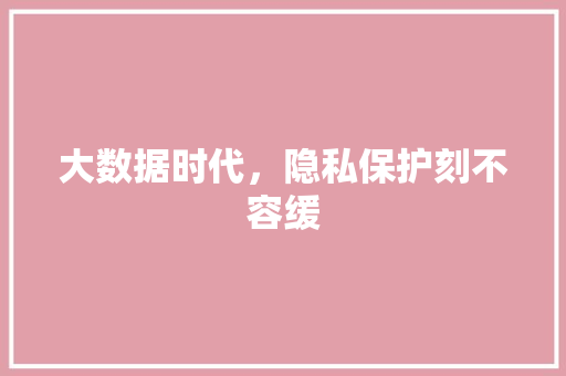 大数据时代，隐私保护刻不容缓 AI技术学习