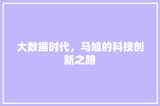 大数据时代，马旭的科技创新之路 搜狗优化