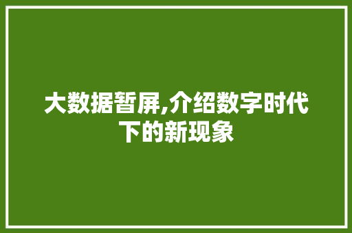 大数据暂屏,介绍数字时代下的新现象