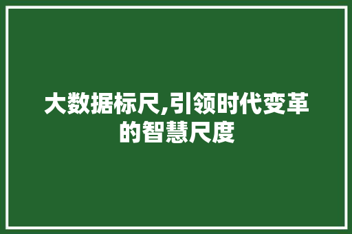 大数据标尺,引领时代变革的智慧尺度 小程序开发