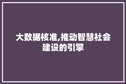 大数据核准,推动智慧社会建设的引擎 网站开发