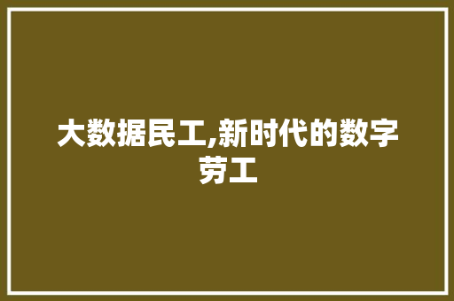 大数据民工,新时代的数字劳工 360搜优化