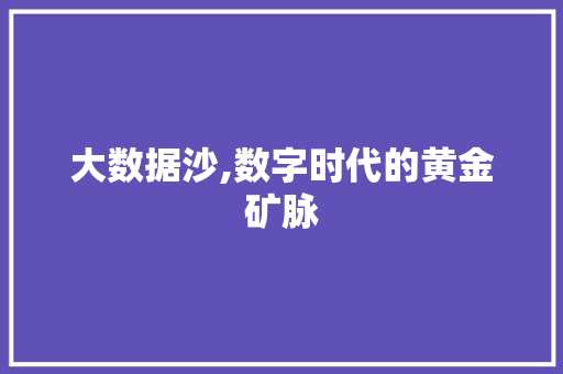 大数据沙,数字时代的黄金矿脉 百度算法