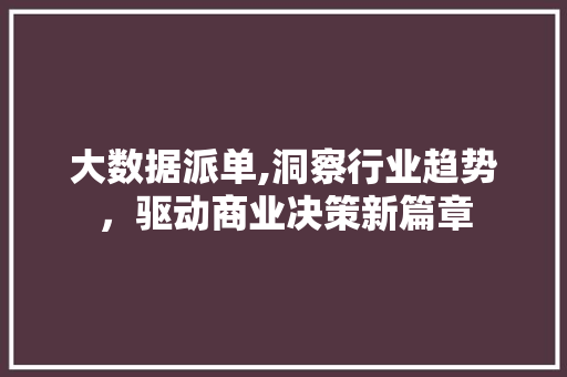 大数据派单,洞察行业趋势，驱动商业决策新篇章 网站优化