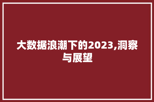 大数据浪潮下的2023,洞察与展望 小程序开发