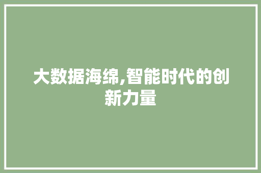 大数据海绵,智能时代的创新力量 百度算法 大数据海绵,智能时代的创新力量 百度算法