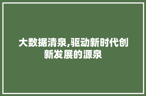 大数据清泉,驱动新时代创新发展的源泉 小程序开发