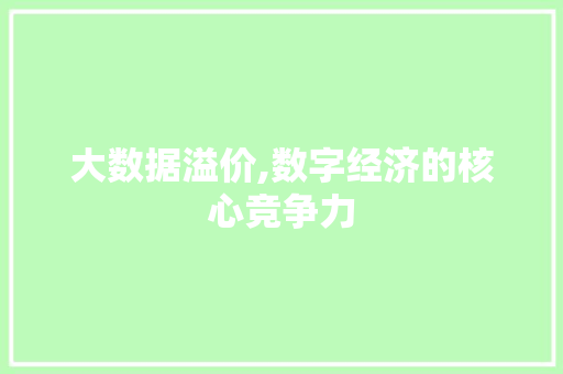 大数据溢价,数字经济的核心竞争力 AI技术学习