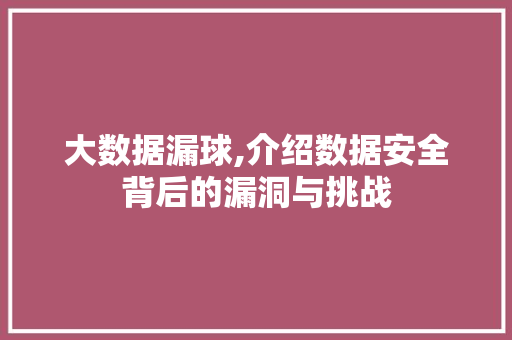 大数据漏球,介绍数据安全背后的漏洞与挑战 360搜优化