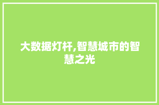 大数据灯杆,智慧城市的智慧之光 小程序开发