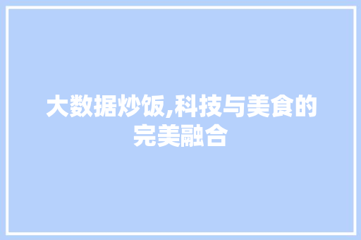 大数据炒饭,科技与美食的完美融合 网站开发