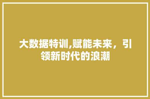 大数据特训,赋能未来，引领新时代的浪潮 网站优化