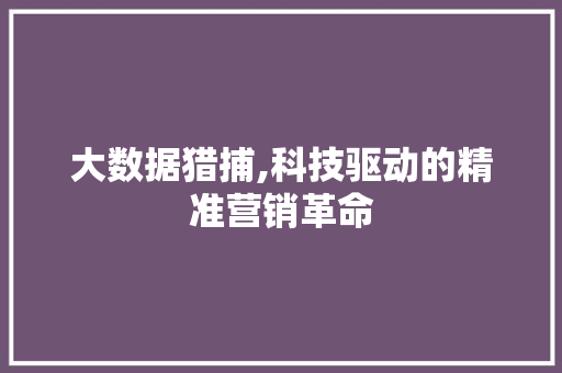 大数据猎捕,科技驱动的精准营销革命 网站优化