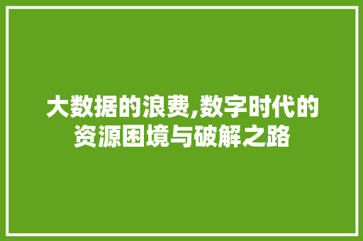大数据的浪费,数字时代的资源困境与破解之路