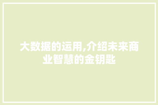 大数据的运用,介绍未来商业智慧的金钥匙 英文谷歌算法