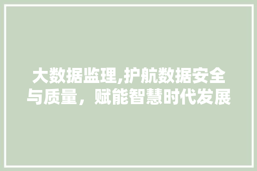 大数据监理,护航数据安全与质量，赋能智慧时代发展