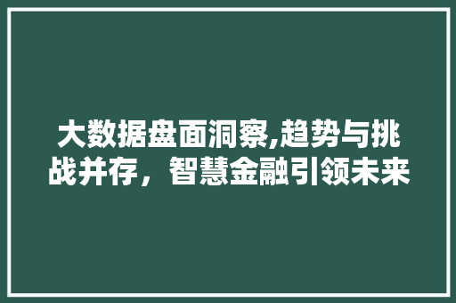 大数据盘面洞察,趋势与挑战并存，智慧金融引领未来 seo技术