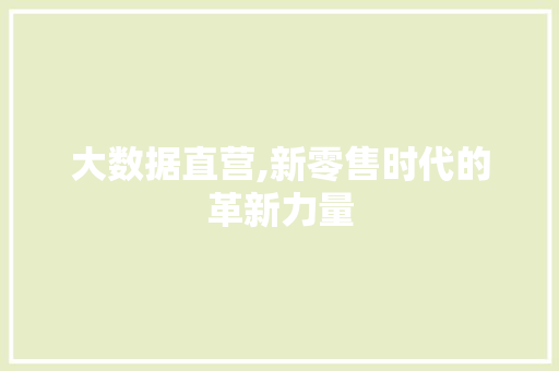 大数据直营,新零售时代的革新力量 360搜优化