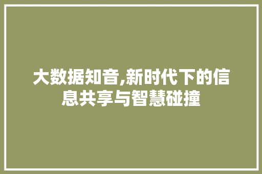 大数据知音,新时代下的信息共享与智慧碰撞 seo技术