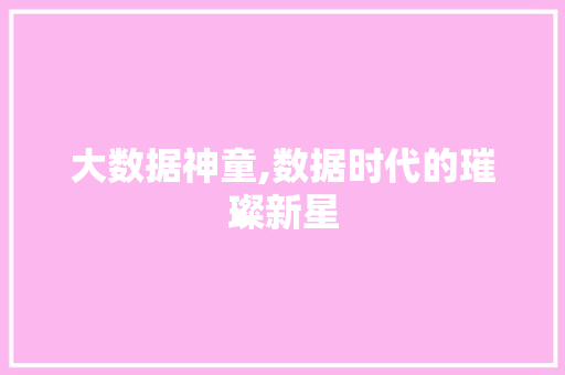 大数据神童,数据时代的璀璨新星 360搜优化