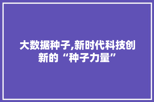 大数据种子,新时代科技创新的“种子力量”