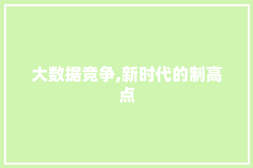 大数据竞争,新时代的制高点