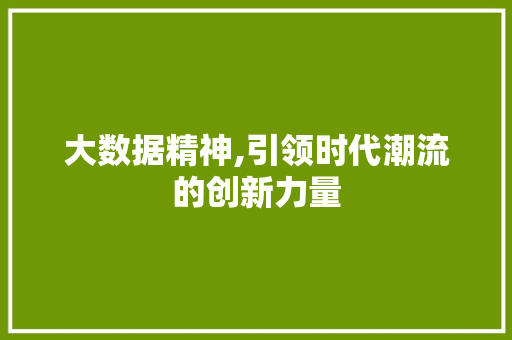 大数据精神,引领时代潮流的创新力量 小程序开发