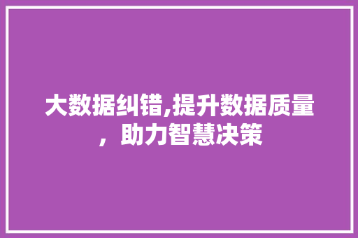 大数据纠错,提升数据质量，助力智慧决策 网站开发