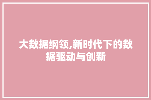 大数据纲领,新时代下的数据驱动与创新 搜狗优化