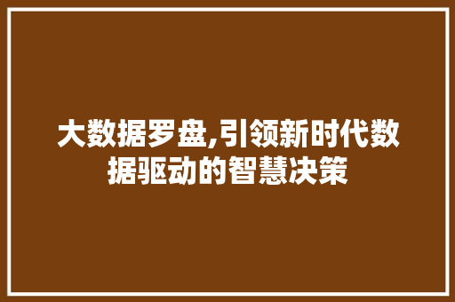 大数据罗盘,引领新时代数据驱动的智慧决策 英文谷歌算法